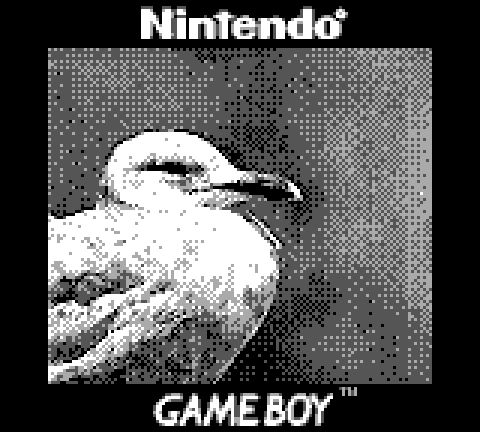 Умелец прикрутил телевик Canon EF 70−200 мм к камере Game Boy - 5